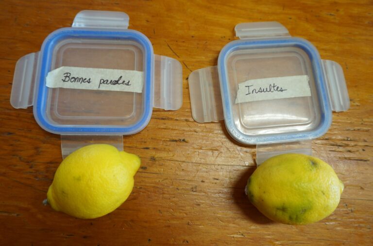 “The unloved lemon – the power of blessing”